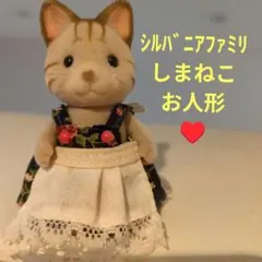 Item thumbnail for item a263ef19-334d-490c-9825-55379a2af354