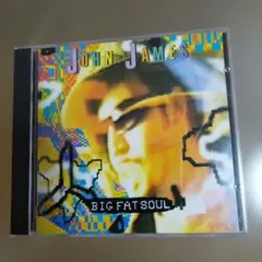 ジョン・ジェイムス/ビッグ・ファット・ソウル