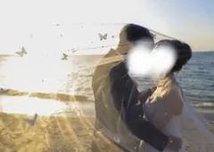 蝶モチーフウェディングベール