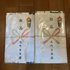 2026年最新】だんじりタオルの人気アイテム - メルカリ