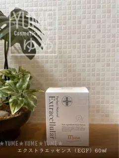 Item thumbnail for item 19f1fe20-0333-412c-9fcf-3ba91c9362c7