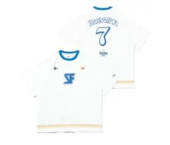 Item thumbnail for item 866110c5-30c5-499c-b9e1-5552994e4501