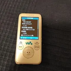 2025年最新】nw-s636fの人気アイテム - メルカリ