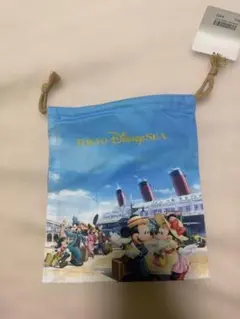 東京ディズニーシー ミッキー ポーチ