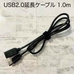 Item thumbnail for item 39d4e63f-b385-4696-b4dd-8177dca12271