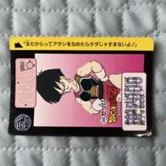 ドラゴンボールZ トレーディングカード 244番 セリパ 1990年製