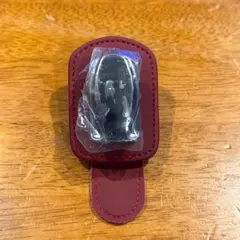 Item thumbnail for item 245f13a3-2de3-4cc8-8807-c48e0609d2eb