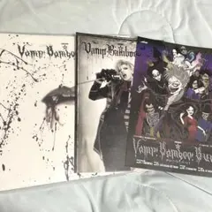 劇団⭐︎新感線Vamp Banboo Burn パンフレット フライヤー2枚セット