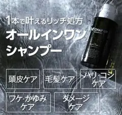 CHAPUP チャップアップ シャンプー 300ml オーガニックエッセンス配合