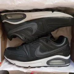 Item thumbnail for item 427f9aaf-4919-4547-85fd-b4c403c4ca4d