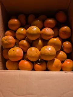 新鮮なオレンジ色の柿箱込み１０キロ