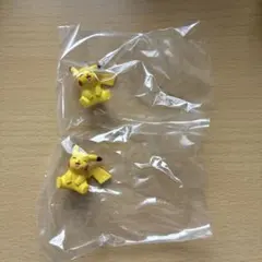 ポケモン　みんなのラプラス　ピカチュウ