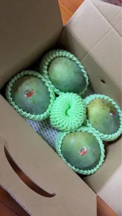 贈答品・秀品】沖縄県産 キーツマンゴー 4玉（JAおきなわ・未追熟