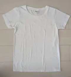 Item thumbnail for item 8ab9018a-0e4c-4ac3-9ae8-6ead32a93f06