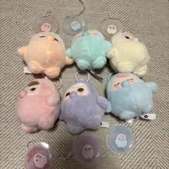 ［明日発送］PUCKY