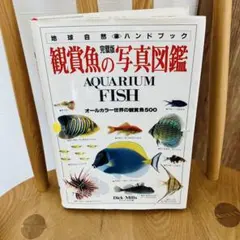 Item thumbnail for item 6c52997b-b462-40d7-b91c-09ad1dd168b7