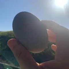 Item thumbnail for item b6b8a30d-aba1-4a02-8390-acb8e6f423f3