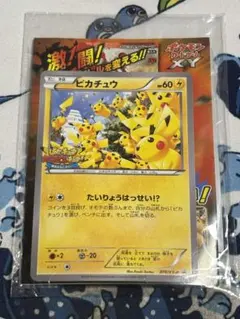 XY ピカチュウカード(070/XY-P [P] )＆ルーキーポケモントレッタ