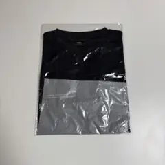 北海道マラソン 2026 参加賞Tシャツ Lサイズ サカナクション