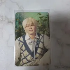 SEVENTEEN ウォヌ トレカ