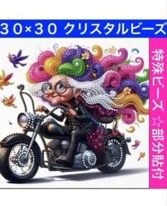 T-355バイクお婆さん ダイヤモンドアートキット ビーズ アート ハンドメイド
