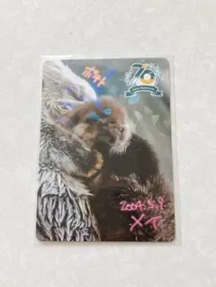 値段交渉可☆鳥羽水族館☆メイ、ポテトとジュゴンのホログラムカード2