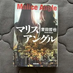 マリスアングル