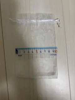 オーガンジー 巾着袋 クリア 10cm x 15cm 13個