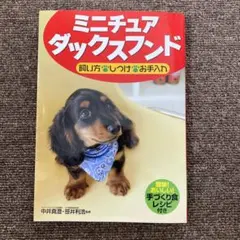 Item thumbnail for item 86f0ced7-8672-442c-a1ad-a23b28eccde0