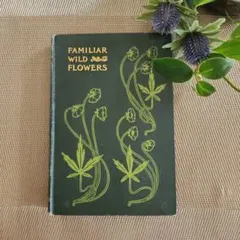 2025年最新】植物図鑑 アンティークの人気アイテム - メルカリ