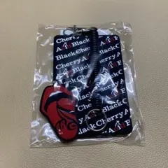 Acid Black Cherry ストレッチャー ハード・ソフトセット 筋トレ Acid Black Cherry STRETCHER 2種セット - メルカリ