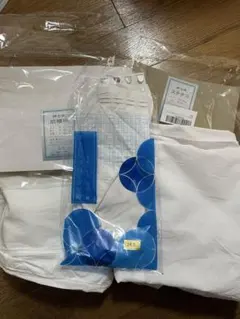 Item thumbnail for item 9a6d5606-f57c-4afb-85c6-0f1e1fce0404