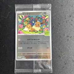 イーブィプロモカード付きポルノグラフィティ ポケカ新品値下げ 2025年最新】イーブイ プロモの人気アイテム - メルカリ