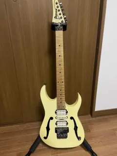 2025年最新】Ibanez PGM30の人気アイテム - メルカリ