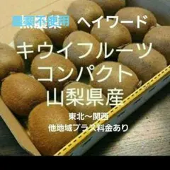 0キウイフルーツ　農薬不使用　わけあり　コンパクト　山梨県産