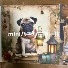 パグランタン８パネル