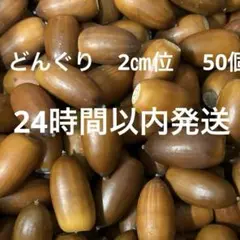 どんぐり　2㎝位 50個