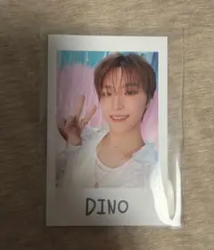 【匿名配送】SEVENTEEN ディノ インスタントフォト
