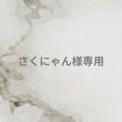 さくにゃん様専用　サイズオーダネイルチップ