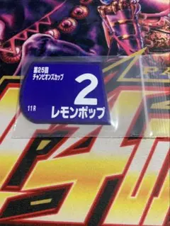 ペコ様 リクエスト 2点 まとめ商品