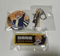 ハイキュー‼︎×トウキュー‼︎ 缶バッジアクリルキーホルダーネームバッジ 日向翔陽