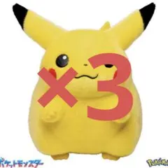 ポケモン 30周年記念 おかえり!ピカチュウ1/1