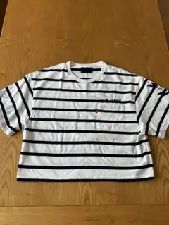 AVIREX U.S. NAVY ボーダー Tシャツ Ｆのサムネイル