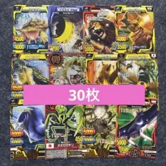 アニマルカイザー 英語版 まとめ売り レア Animal Kaiser - メルカリ