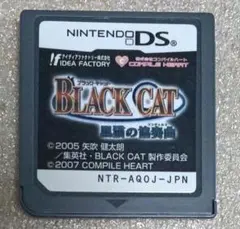 DS「BLACK CAT 黒猫の協奏曲（コンチェルト）」の詳細 - GAMEMAN