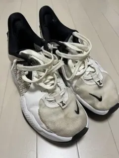 Item thumbnail for item d8951662-ea9b-493e-a097-99356cd8ed7e