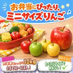 ＂ミニサイズりんご＂ 【 青森県産 家庭用 B品 りんご 10kg 】 産地直送