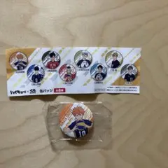 くら寿司　ハイキュー　缶バッジ　日向翔陽