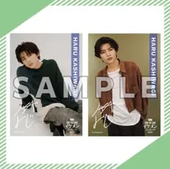 超特急 ハル 柏木悠 ViVi オンラインくじ ブロマイド 生写真 D-5