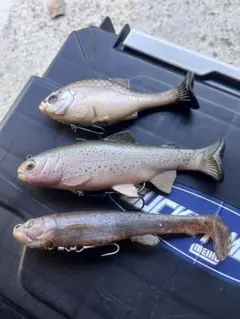 Item thumbnail for item 69a99969-f757-4779-8eae-ca5de087d58b